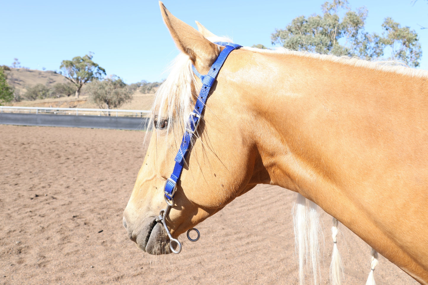 Nylon One Ear Bridles