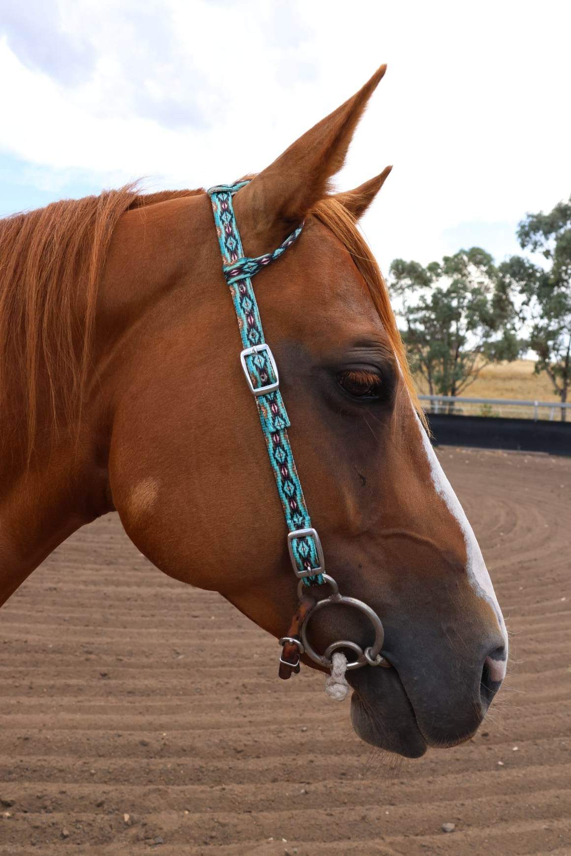 Nylon One Ear Bridles