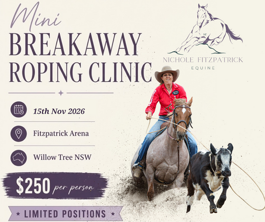 Breakaway Roping Clinic - 15th Nov 2026