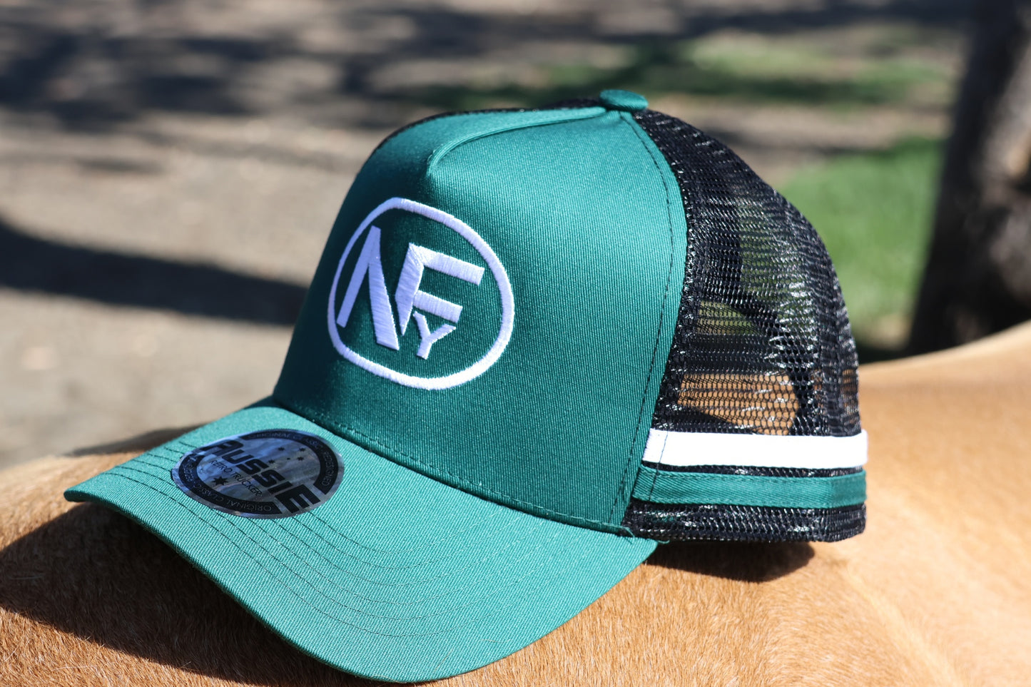 Trucker Caps