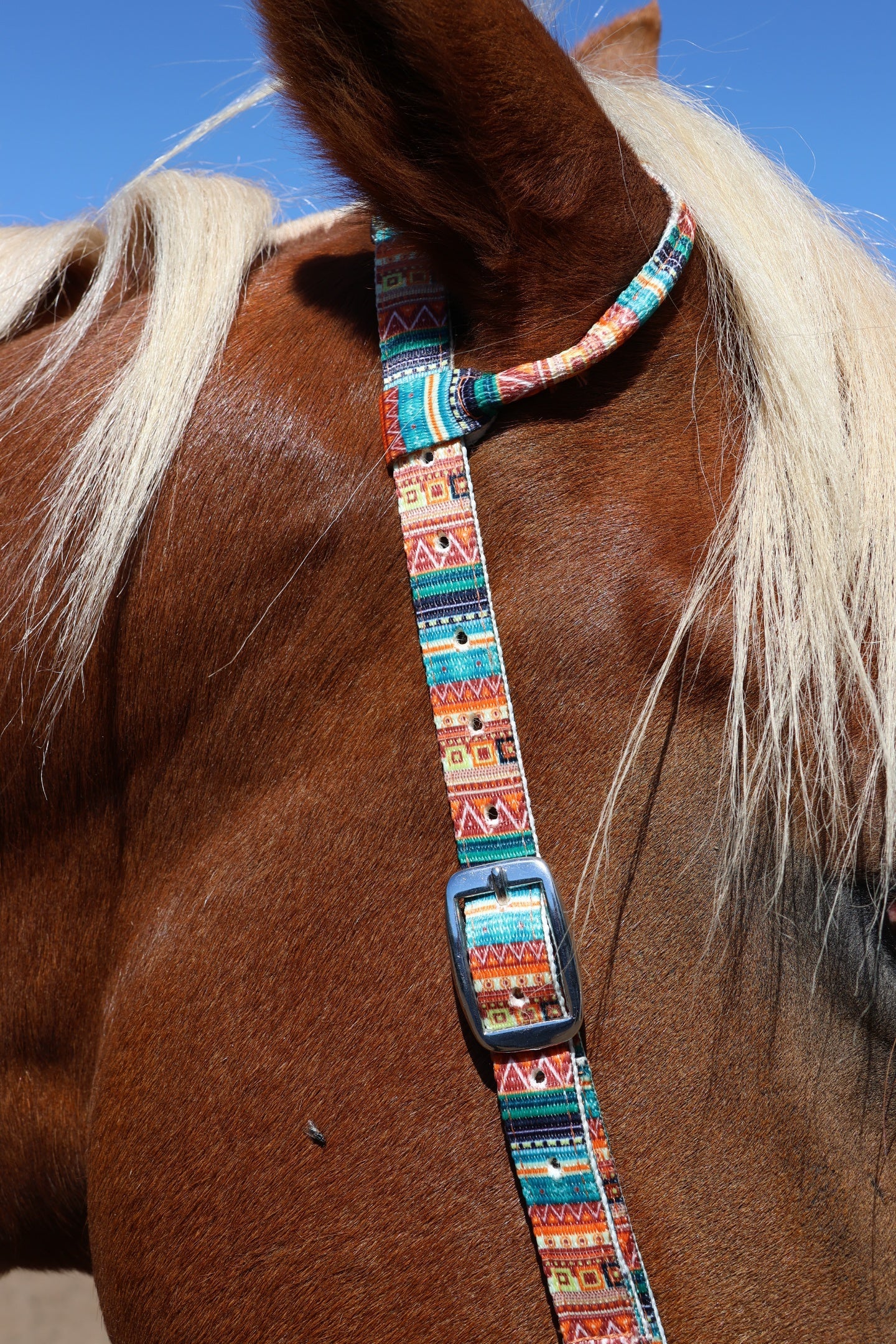 Nylon One Ear Bridles